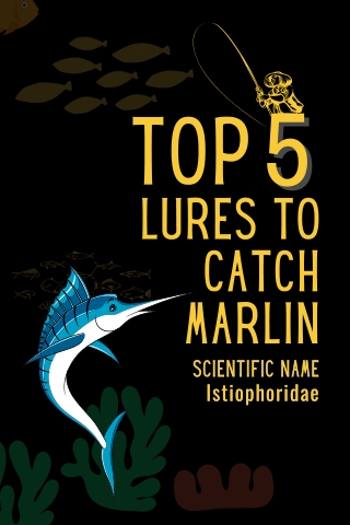 Top 5 Lures To Catch Marlin
