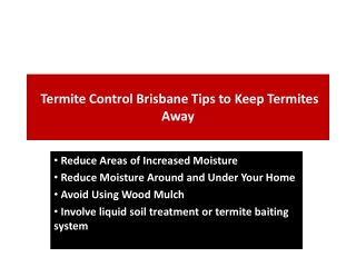 Termite Control Brisbane Tips to Keep Termites Away