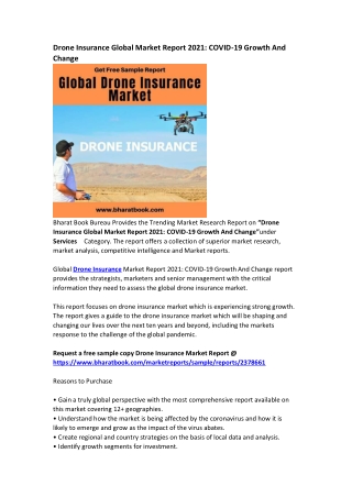 Global Drone Insurance Market