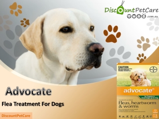 Buy Advocate Flea Treatment For Dogs Online - DiscountPetcare