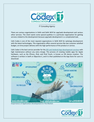 Cafe Codex IT Consultation Agency