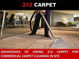 Advantages of Hiring 212 Carpet for Commercial Carpet Cleaning in NYC