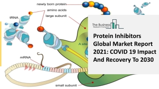 Protein Inhibitors Market Research Analysis | By Size, Share, Growth and Trends 2021-2025