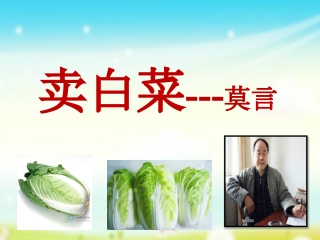 SPM 中国文学 名家小说选 卖白菜 幻灯片