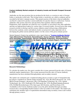 Custom Antibody Market