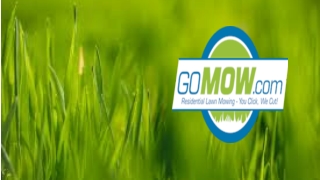 Weekly bi Weekly Lawn Care and Lawn Maintenance Service Provider - Gomow