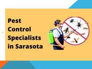 Pest Control Specialists in Sarasota