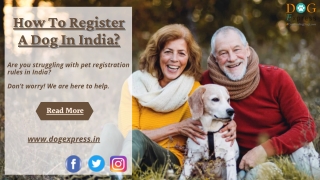 How To Register A Dog In India?