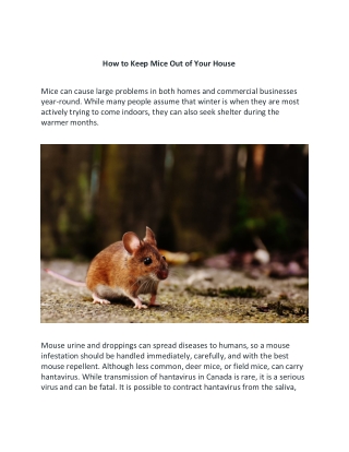 How to Keep Mice Out of Your House