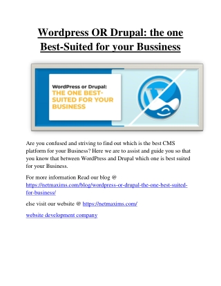 Wordpress OR Drupal: the one Best-Suited for your Bussiness