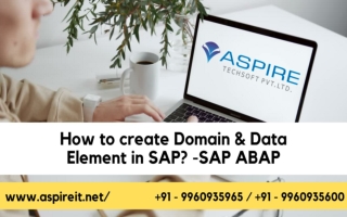 Best SAP ABAP Training Institute with Placement in Pune