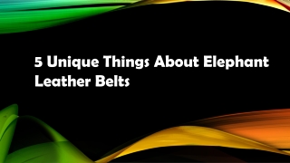 5 Unique Things About Elephant Leather Belts