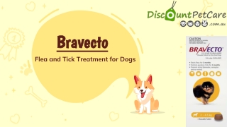 Buy Bravecto Flea and Tick Treatment for Dogs Online - DiscountPetCare