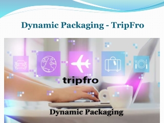 Dynamic Packaging - TripFro