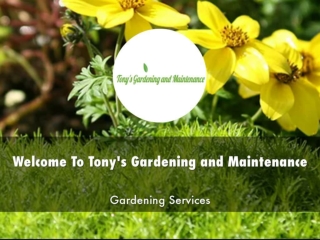 Detail Presentation About Tony's Gardening and Maintenance