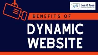 What should you invest in a dynamic website?