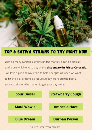 Top 6 Sativa Strains To Try Right Now