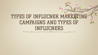 What are the types of influencer marketing campaigns and types of influencers?