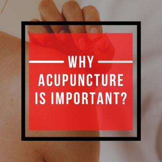 Strategic Points On Acupuncture