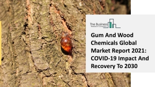 Gum And Wood Chemicals Market Emerging Trends, Key Segments And Overview Report