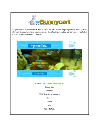 Online Fish Store India | Bunnycart.com