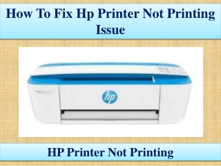 How To Fix HP Printer Not Printing Issue