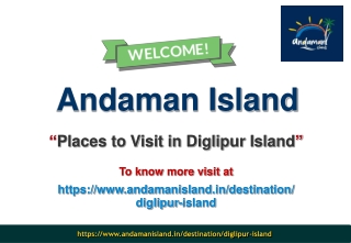 Places to Visit in Diglipur Island