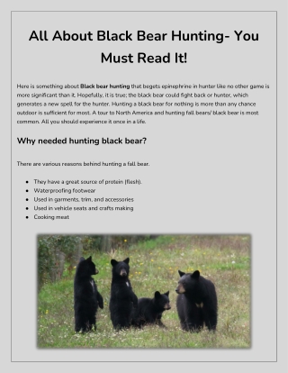 Black Bear Hunting Tips | Hunt Nation