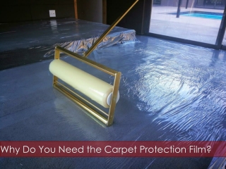 Why Do You Need the Carpet Protection Film?