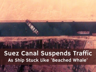 Suez Canal suspends traffic as ship stuck like 'beached whale'