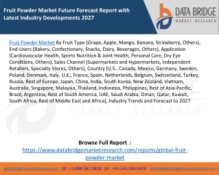 Fruit Powder Market Future Forecast Report with Latest Industry Developments 2027