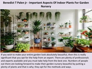 Benedict T Palen jr - Important Aspects Of Indoor Plants For Garden Nursery