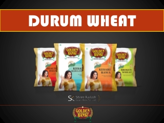 Durum Wheat and Its Benefits - Golden Bansi