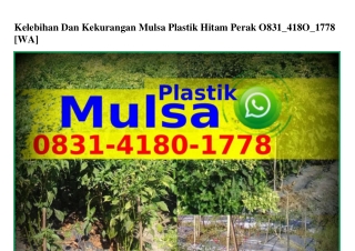 Kelebihan Dan Kekurangan Mulsa Plastik Hitam Perak O831418O1778{WA}