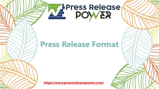 Press Release Format