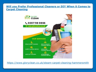 Will you Prefer Professional Cleaners or DIY When it Comes to Carpet Cleaning