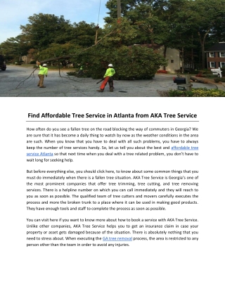 Find Affordable Tree Service in Atlanta from AKA Tree Service
