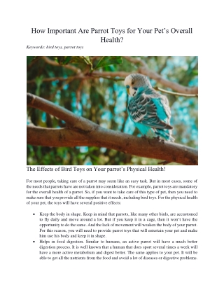 How Important Are Parrot Toys for Your Pet’s Overall Health?