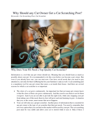 Why Should any Cat Owner Get a Cat Scratching Post?
