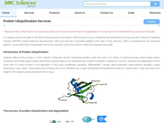 protac ubiquitin ubiquitin proteasome degradation ubiquitin and protein degradation ubiquitination assay protocol ubiqui