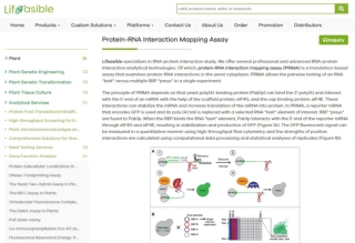 Protein-RNA Interaction Mapping