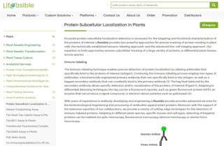 Protein Subcellular Localization
