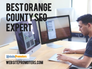 Best Orange County SEO Expert - Website Promoters LLC