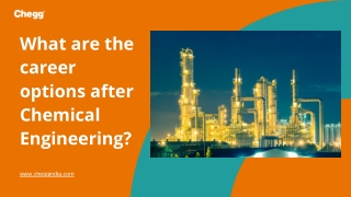 Career Options after Chemical Engineering