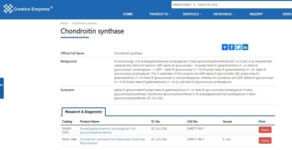 Chondroitin synthase