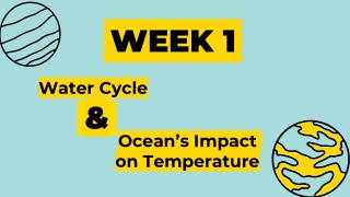 The Water Cycle