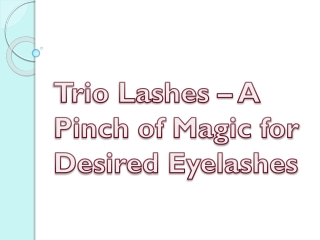 Trio Lashes - A Pinch of Magic for Desired Eyelashes