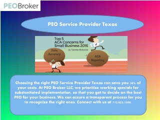 PEO Service Provider Texas
