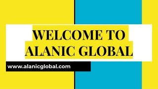 Best Wholesale Clothing Manufacturer in USA : Alanic Global