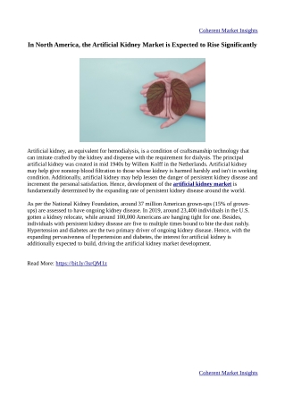 In North America, the Artificial Kidney Market is Expected to Rise Significantly